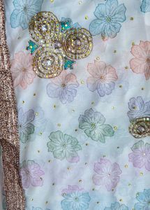 Floral Embellished Saree