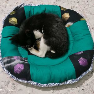 Cat Bed - Handmade Pek Of 1