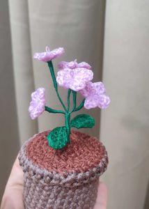 Crochet Flower Pot (Forgot Me Not)