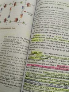 Class XII Biology Textbook