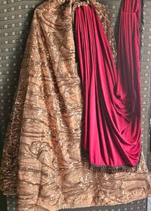 Sequin Embellished Lehenga Choli