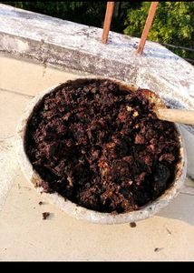 Home-made compost(Khaad)