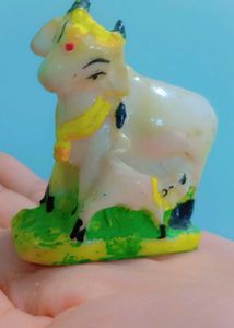Cow Idol