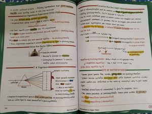Botany 1.0 Med Easy Notes