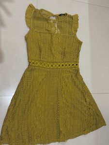 Mustard Lace Fit & Flare Dress