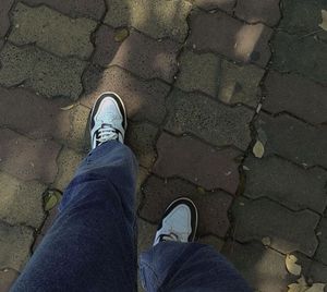 Roadster Stylish Sneakers For Women