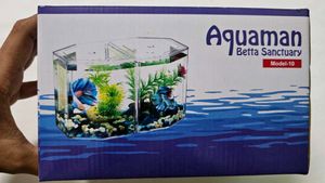 Betta Fish Tank With Double Compartment