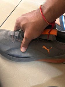Puma Man Shoes
