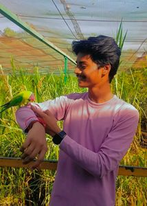 Stylish Long Sleeve T-shirt