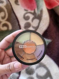 Pro Concealer Palette
