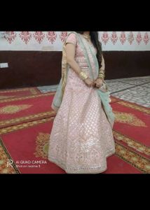 Elegant Light Pink Lehenga