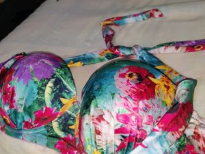 Hot Multi Colour Pushup Bra