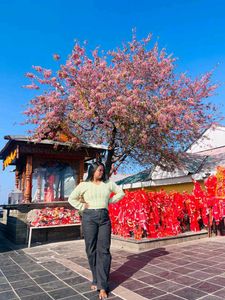 Stylish Knit Sweater