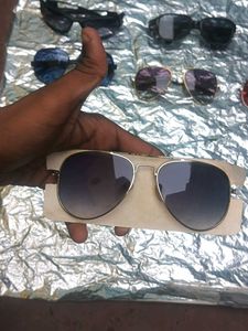 Sunglasses Collection