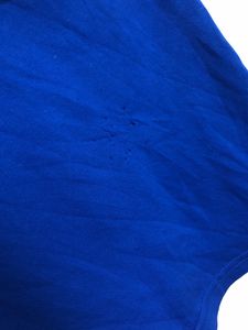 Champion Blue T Shirt