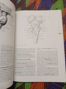 Anatomy Textbook