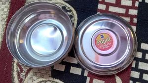 Payal Stainless Steel Container