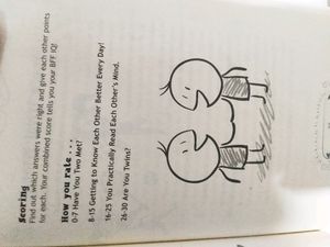 Bff Book