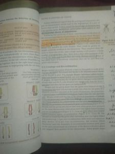 NCERT BOOK 11 TH &amp; 12 CLASS BIOLOGY