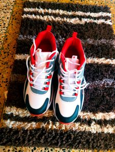Champion Shoe Sneakers 👟