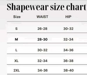 Saree Shapewear