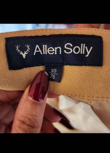 Allen Solly Beige Skirt