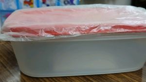 TUPPERWARE Mm Owal Box