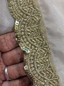Shimmery Beautiful Duptta