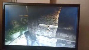 Dell Monitor