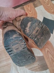 Casual Brown Shoes