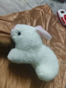 Rabbit Pluffy