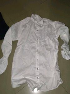 Striped Short Sleeve Button-Down