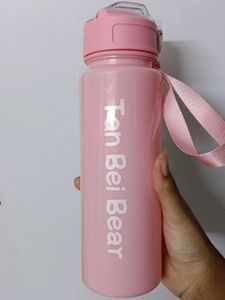 Water Bottle