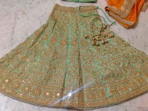 Embroidered Lehenga Choli