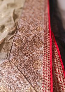 Regal Beige Saree Zardosi and Black Net Accents