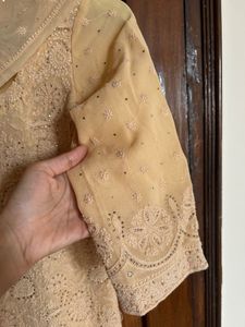 Pakistani chikankari Suit