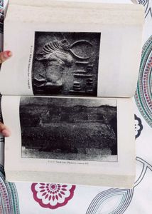 India&#39;s Ancient Past by R.S. Sharma