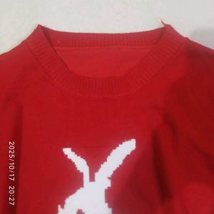 Red Rabbit Graphic Tee