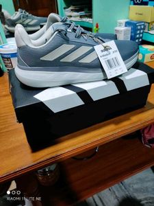 Adidas Sneakers - New with Tags