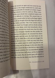 The Metamorphosis by Kafka