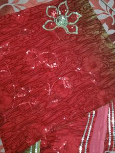 Red Embellished Saree