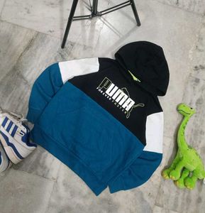 Puma Colorblock Hoodie
