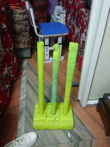 Cricket Wickets Set