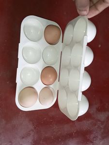 Egg Holder