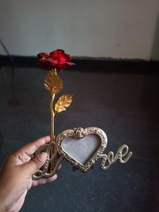 Beautiful Rose Flower Photo Frame