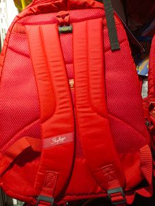 Skybags Backpack