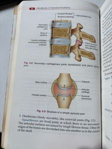 BD Chaurasia Handbook Of General Anatomy