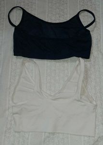 30a/30b T Shirt Bra