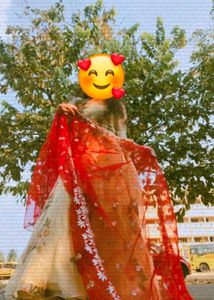Heavy Organza Frock
