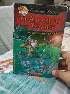 The Amazing Voyage